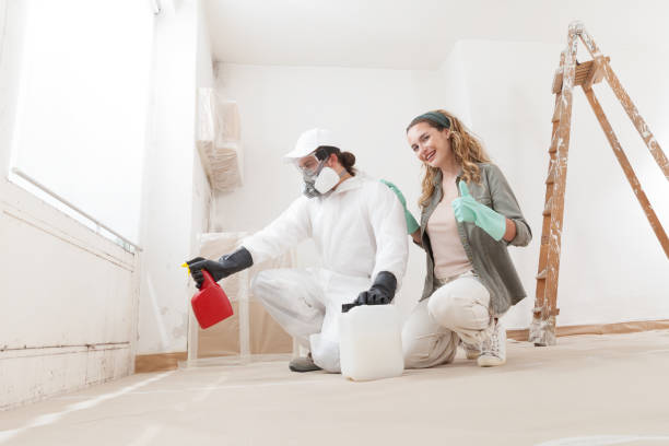 Professional Mold Removal in Carrboro, NC